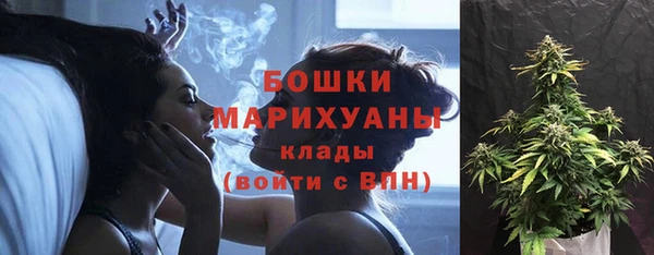 соль ск Няндома
