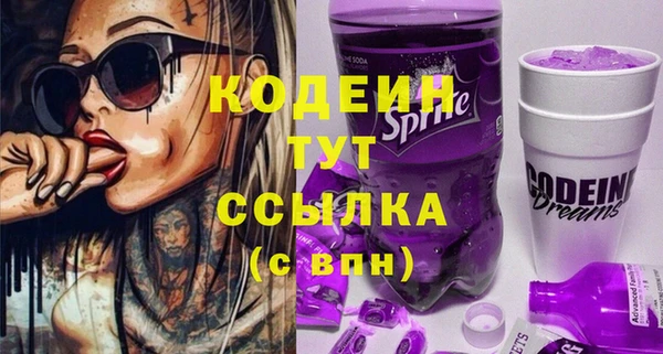 соль ск Няндома