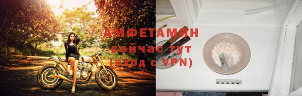 сатива Арсеньев