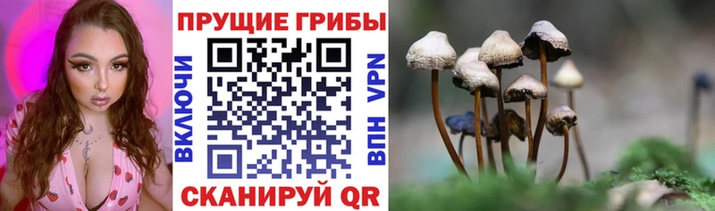 МЕГА сайт  Полысаево  Галлюциногенные грибы Cubensis 
