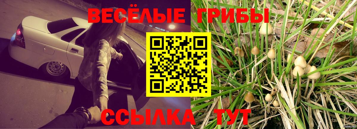 Мефедрон  Полысаево  Канабис  Марки  Хэш  Cocaine  Кокаин  APVP  Вход с VPN  XTC 
