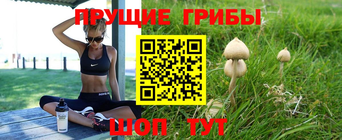 Псилоцибиновые грибы Cubensis Полысаево