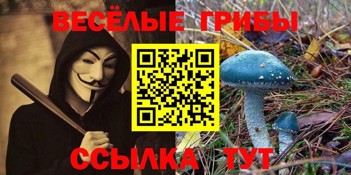 Псилоцибиновые грибы Cubensis  Вход с VPN  Полысаево  Псилоцибиновые грибы ЛСД 